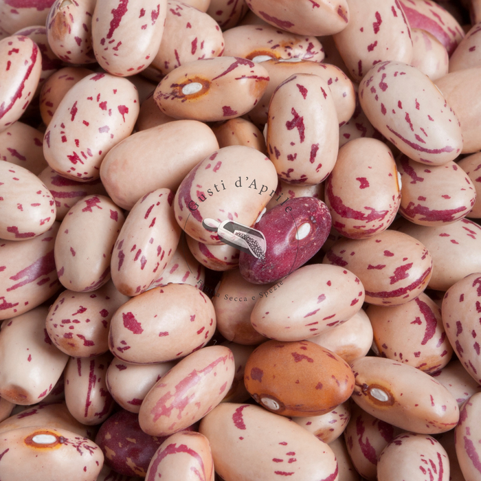 fagiolo borlotto secco dry beans