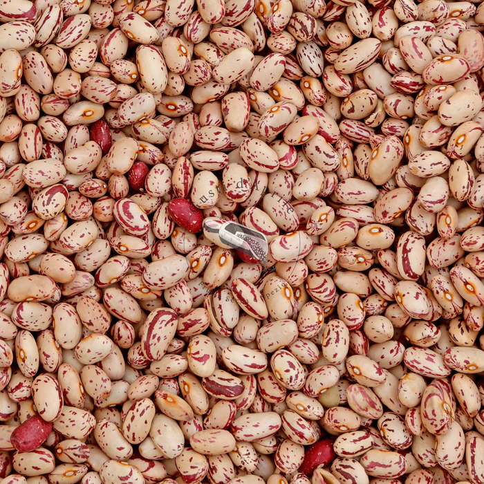 fagioli borlotti legumi secchi origine argentina