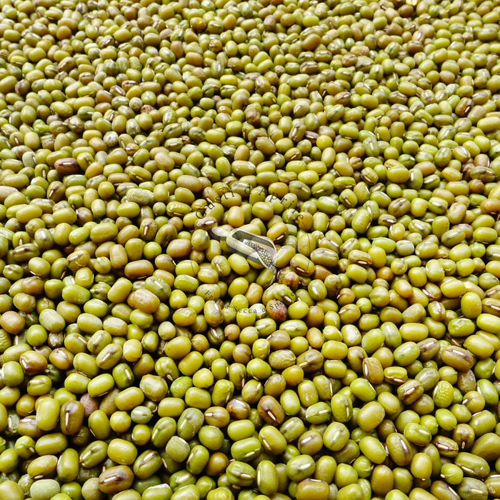 Fagioli Azuki Verdi- Soia Verde